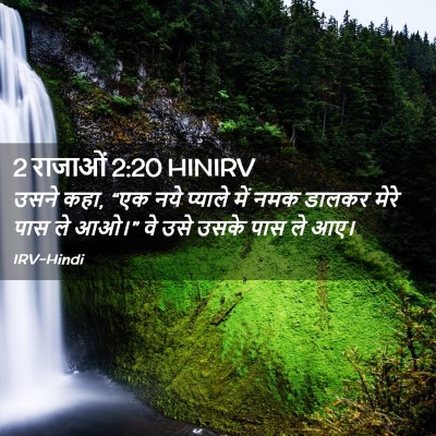Picture 02 - 2 राजाओं 2:20 HINIRV - उसने कहा, “एक नये - Bible Verse Picture