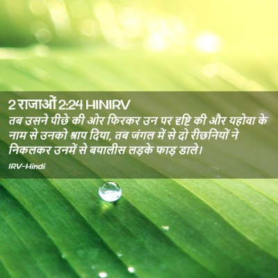 Picture 02 - 2 राजाओं 2:24 HINIRV - तब उसने पीछे की ओर - Bible Verse Picture