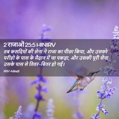Picture 02 - 2 राजाओं 25:5 HINIRV - तब कसदियों की सेना - Bible Verse Picture