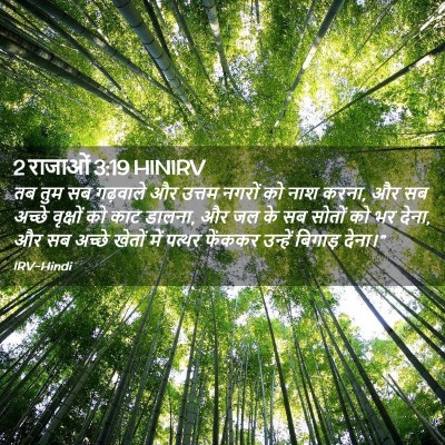 Picture 02 - 2 राजाओं 3:19 HINIRV - तब तुम सब गढ़वाले - Bible Verse Picture