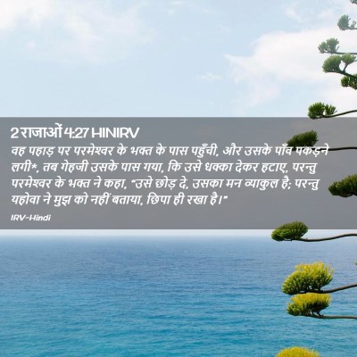 Picture 02 - 2 राजाओं 4:27 HINIRV - वह पहाड़ पर - Bible Verse Picture