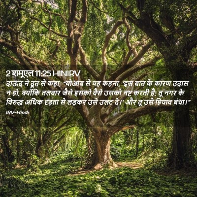 Picture 02 - 2 शमूएल 11:25 HINIRV - दाऊद ने दूत से कहा, - Bible Verse Picture