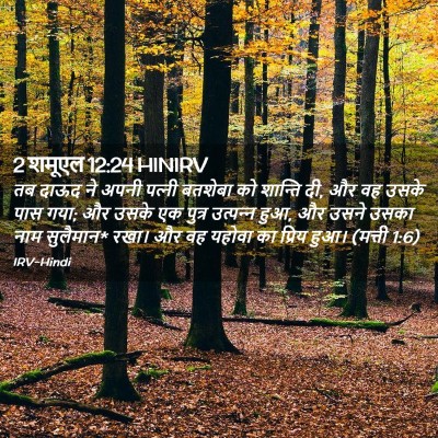 Picture 02 - 2 शमूएल 12:24 HINIRV - तब दाऊद ने अपनी - Bible Verse Picture