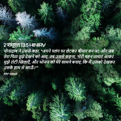 Picture 02 - 2 शमूएल 13:5 HINIRV - योनादाब ने उससे - Bible Verse Picture