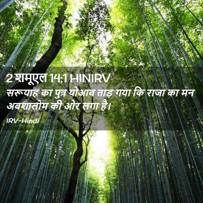 Picture 02 - 2 शमूएल 14:1 HINIRV - सरूयाह का पुत्र - Bible Verse Picture