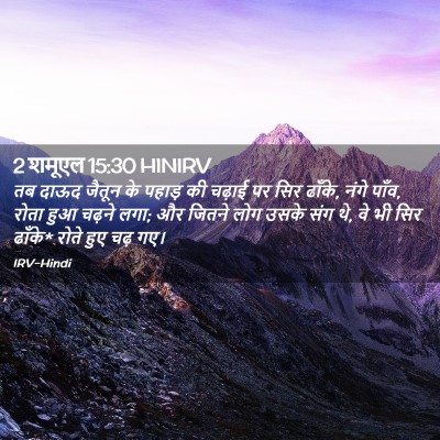 Picture 02 - 2 शमूएल 15:30 HINIRV - तब दाऊद जैतून के - Bible Verse Picture
