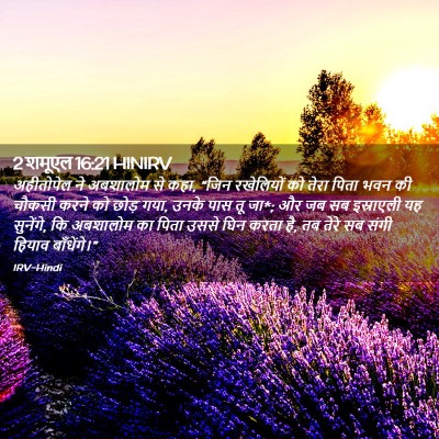 Picture 02 - 2 शमूएल 16:21 HINIRV - अहीतोपेल ने - Bible Verse Picture