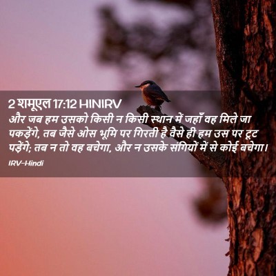 Picture 02 - 2 शमूएल 17:12 HINIRV - और जब हम उसको किसी - Bible Verse Picture