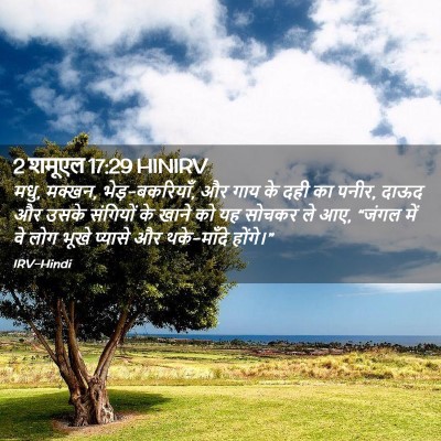 Picture 02 - 2 शमूएल 17:29 HINIRV - मधु, मक्खन, - Bible Verse Picture