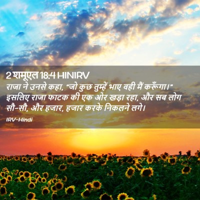 Picture 02 - 2 शमूएल 18:4 HINIRV - राजा ने उनसे कहा, - Bible Verse Picture