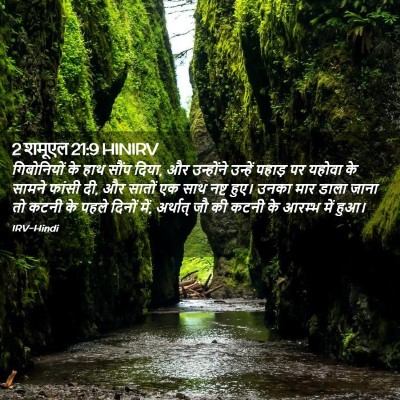 Picture 02 - 2 शमूएल 21:9 HINIRV - गिबोनियों के हाथ - Bible Verse Picture