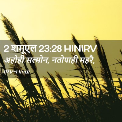 Picture 02 - 2 शमूएल 23:28 HINIRV - अहोही सल्मोन, - Bible Verse Picture