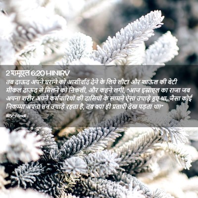 Picture 02 - 2 शमूएल 6:20 HINIRV - तब दाऊद अपने घराने - Bible Verse Picture