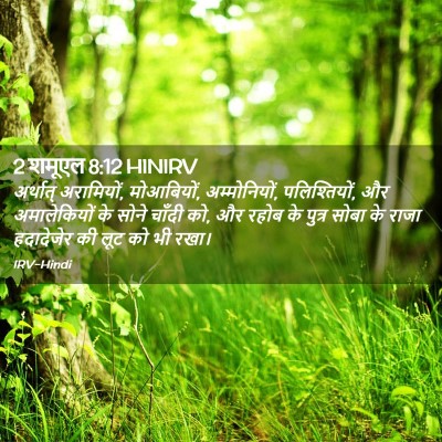 Picture 02 - 2 शमूएल 8:12 HINIRV - अर्थात् अरामियों, - Bible Verse Picture