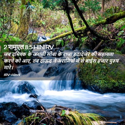 Picture 02 - 2 शमूएल 8:5 HINIRV - जब दमिश्क के अरामी - Bible Verse Picture