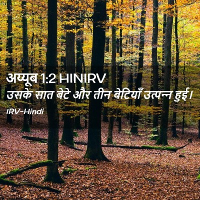 Picture 02 - अय्यूब 1:2 HINIRV - उसके सात बेटे और - Bible Verse Picture