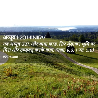 Picture 02 - अय्यूब 1:20 HINIRV - तब अय्यूब उठा, और - Bible Verse Picture