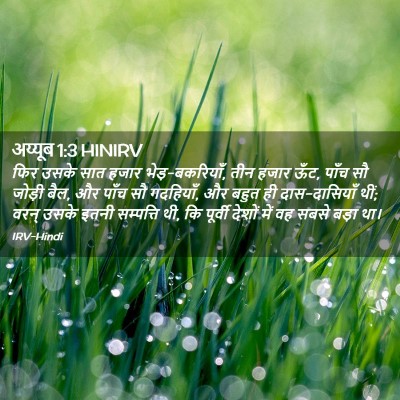Picture 02 - अय्यूब 1:3 HINIRV - फिर उसके सात हजार - Bible Verse Picture