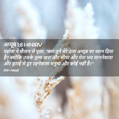 Picture 02 - अय्यूब 1:8 HINIRV - यहोवा ने शैतान से - Bible Verse Picture