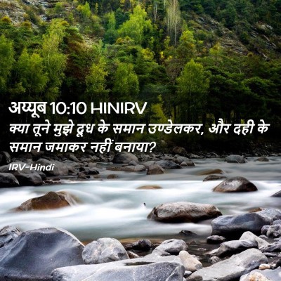 Picture 02 - अय्यूब 10:10 HINIRV - क्या तूने मुझे दूध - Bible Verse Picture