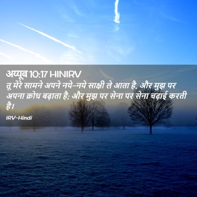 Picture 02 - अय्यूब 10:17 HINIRV - तू मेरे सामने अपने - Bible Verse Picture