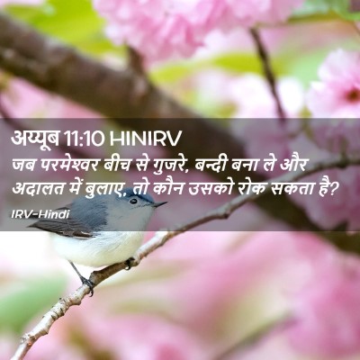 Picture 02 - अय्यूब 11:10 HINIRV - जब परमेश्‍वर बीच - Bible Verse Picture