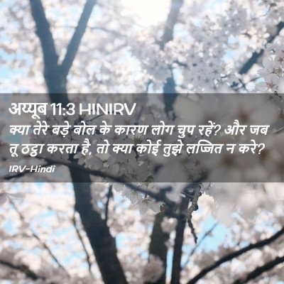 Picture 02 - अय्यूब 11:3 HINIRV - क्या तेरे बड़े बोल - Bible Verse Picture