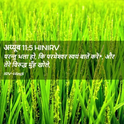 Picture 02 - अय्यूब 11:5 HINIRV - परन्तु भला हो, कि - Bible Verse Picture