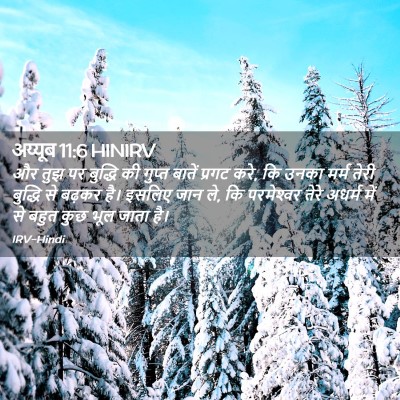 Picture 02 - अय्यूब 11:6 HINIRV - और तुझ पर बुद्धि की - Bible Verse Picture