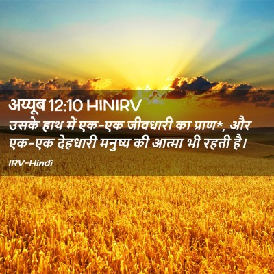 Picture 02 - अय्यूब 12:10 HINIRV - उसके हाथ में एक-एक - Bible Verse Picture
