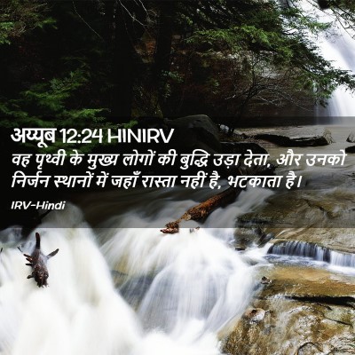 Picture 02 - अय्यूब 12:24 HINIRV - वह पृथ्वी के मुख्य - Bible Verse Picture