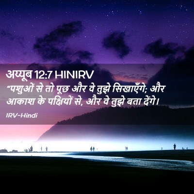 Picture 02 - अय्यूब 12:7 HINIRV - “पशुओं से तो पूछ और - Bible Verse Picture