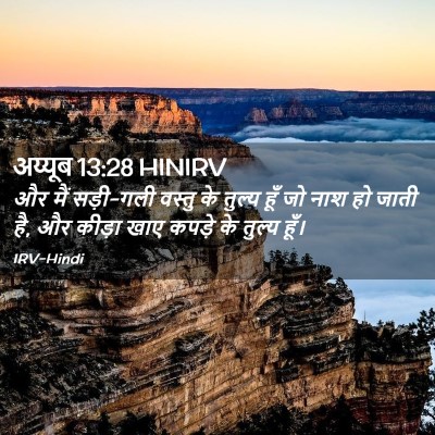 Picture 02 - अय्यूब 13:28 HINIRV - और मैं सड़ी-गली - Bible Verse Picture
