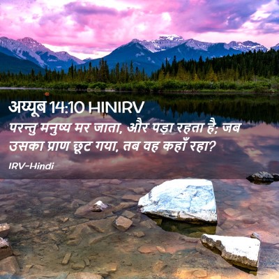 Picture 02 - अय्यूब 14:10 HINIRV - परन्तु मनुष्य मर - Bible Verse Picture