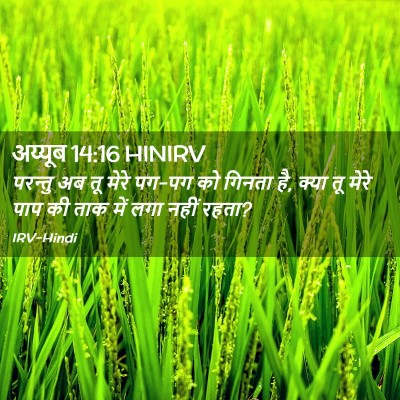 Picture 02 - अय्यूब 14:16 HINIRV - परन्तु अब तू मेरे - Bible Verse Picture