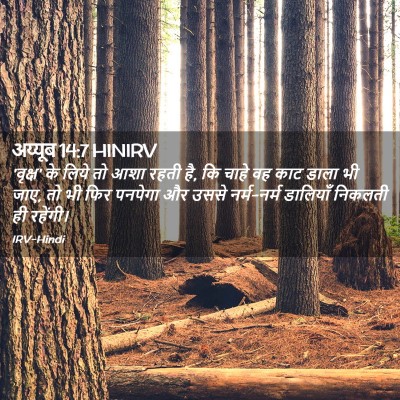 Picture 02 - अय्यूब 14:7 HINIRV - 'वृक्ष' के लिये तो - Bible Verse Picture