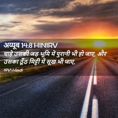 Picture 02 - अय्यूब 14:8 HINIRV - चाहे उसकी जड़ भूमि - Bible Verse Picture