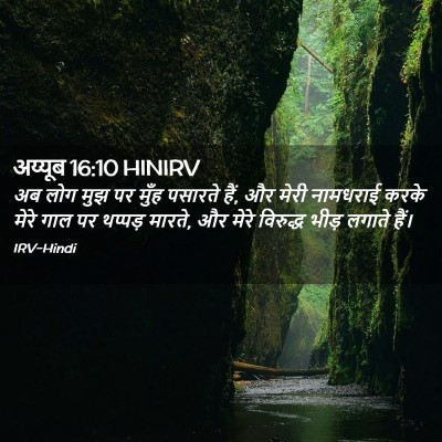 Picture 02 - अय्यूब 16:10 HINIRV - अब लोग मुझ पर मुँह - Bible Verse Picture