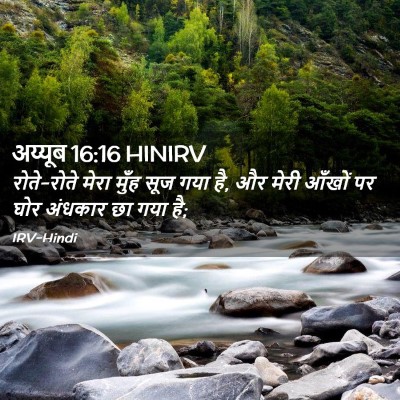 Picture 02 - अय्यूब 16:16 HINIRV - रोते-रोते मेरा - Bible Verse Picture