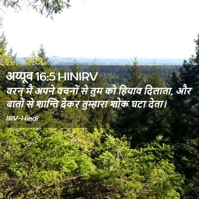 Picture 02 - अय्यूब 16:5 HINIRV - वरन् मैं अपने - Bible Verse Picture