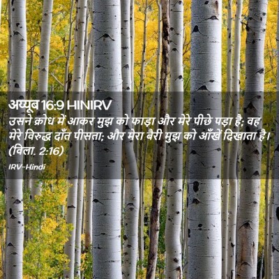 Picture 02 - अय्यूब 16:9 HINIRV - उसने क्रोध में आकर - Bible Verse Picture