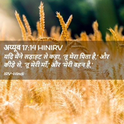 Picture 02 - अय्यूब 17:14 HINIRV - यदि मैंने सड़ाहट - Bible Verse Picture