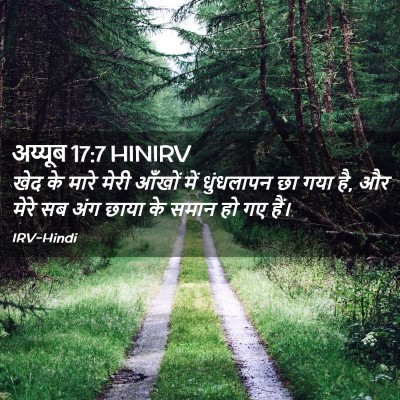 Picture 02 - अय्यूब 17:7 HINIRV - खेद के मारे मेरी - Bible Verse Picture