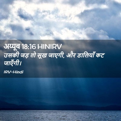Picture 02 - अय्यूब 18:16 HINIRV - उसकी जड़ तो सूख - Bible Verse Picture