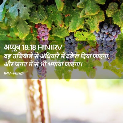 Picture 02 - अय्यूब 18:18 HINIRV - वह उजियाले से - Bible Verse Picture