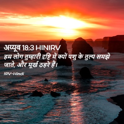 Picture 02 - अय्यूब 18:3 HINIRV - हम लोग तुम्हारी - Bible Verse Picture
