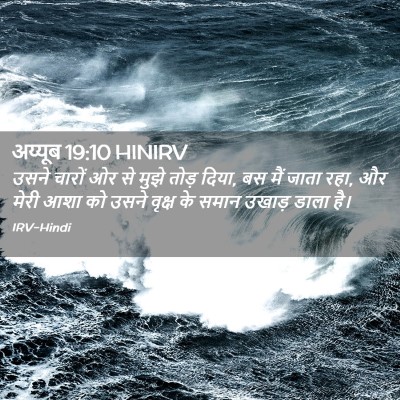 Picture 02 - अय्यूब 19:10 HINIRV - उसने चारों ओर से - Bible Verse Picture