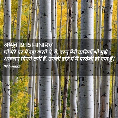 Picture 02 - अय्यूब 19:15 HINIRV - जो मेरे घर में रहा - Bible Verse Picture