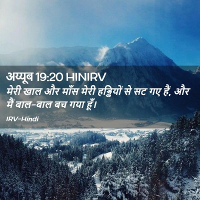 Picture 02 - अय्यूब 19:20 HINIRV - मेरी खाल और माँस - Bible Verse Picture