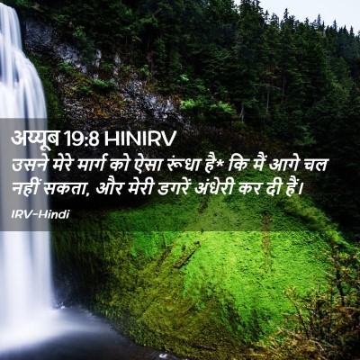 Picture 02 - अय्यूब 19:8 HINIRV - उसने मेरे मार्ग को - Bible Verse Picture